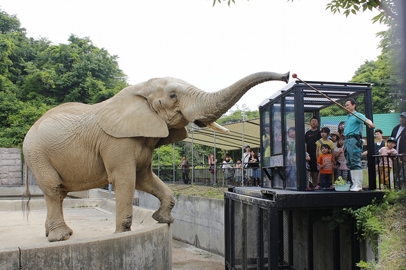 ☆お子様連れに大人気！！大森山動物園入園券付☆プールがある温泉宿で1泊2食付プラン